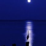 The moon light reflection