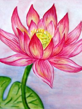 Lotus Flower is the Buddhist symbol